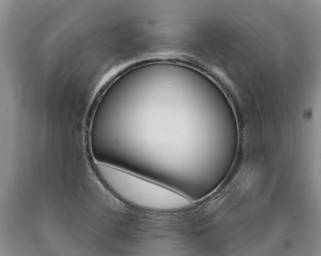 X0000090871412200707270945