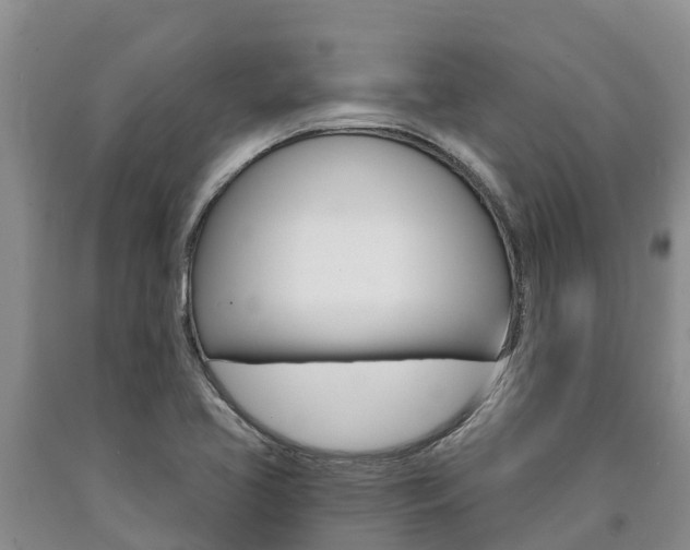 X0000090871413200707270945