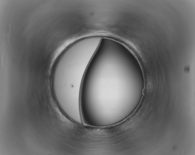 X0000090871414200707270945