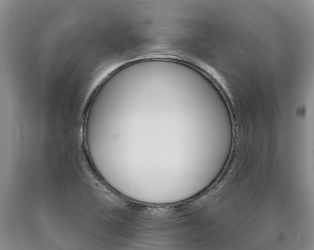 X0000090871415200707270945