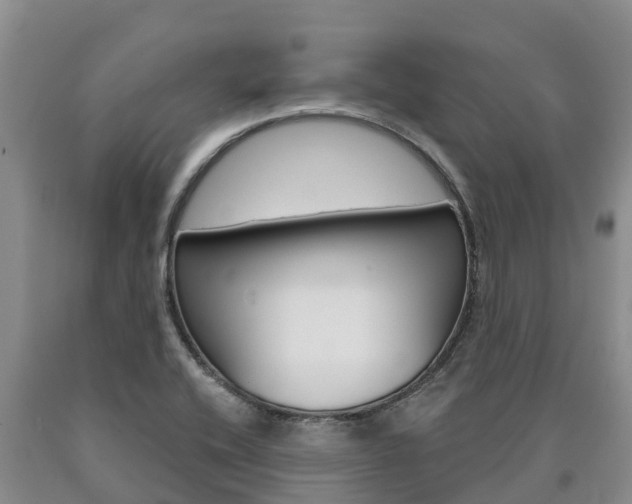 X0000090871416200707270945