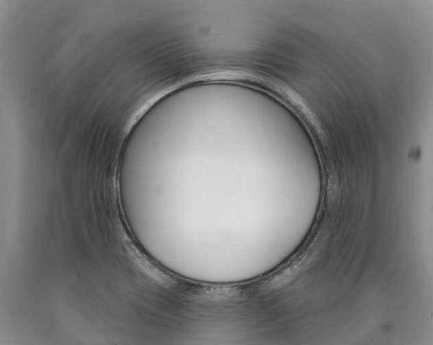 X0000090871417200707270945
