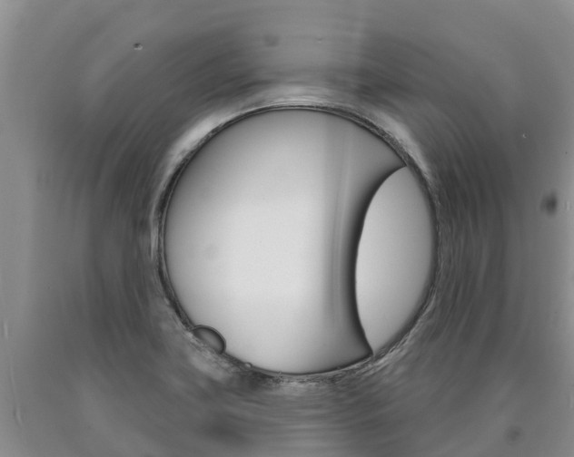X0000090871419200707270945