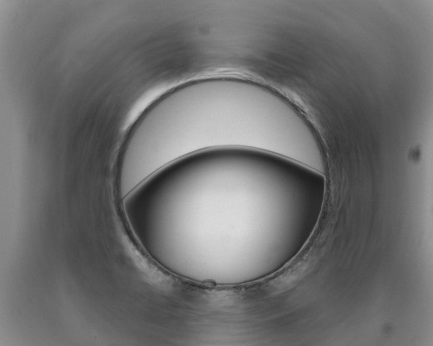 X0000090871422200707270945