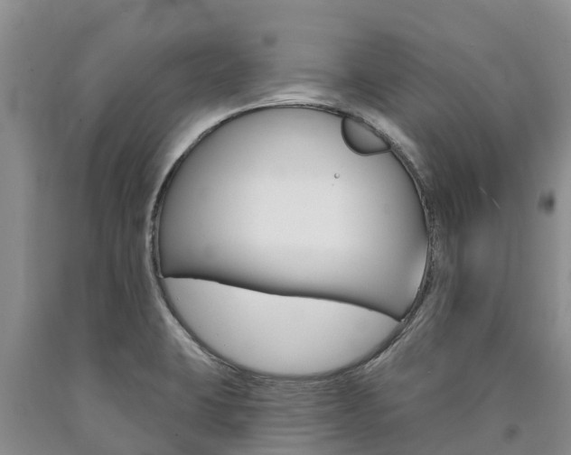 X0000090871423200707270945