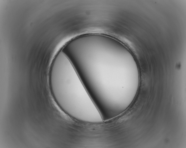 X0000090871424200707270945