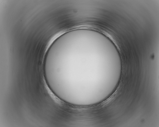 X0000090871426200707270945