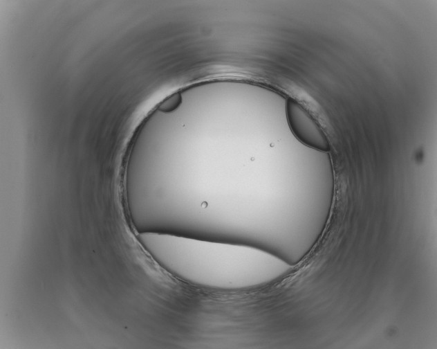 X0000090871427200707270945