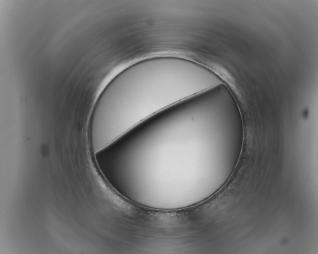 X0000090871428200707270945