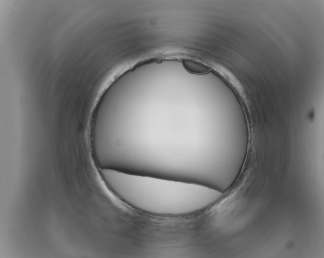 X0000090871429200707270945