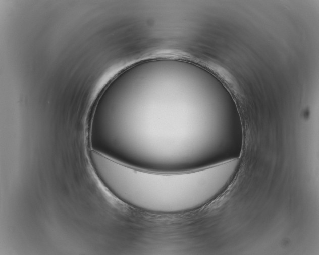 X0000090871430200707270945