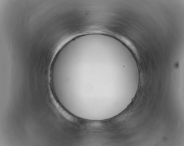X0000090871431200707270945