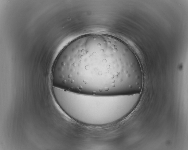 X0000090871432200707270945