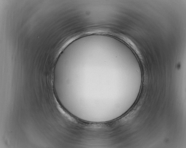 X0000090871433200707270945