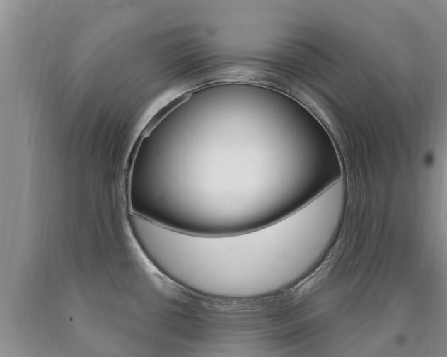 X0000090871434200707270945