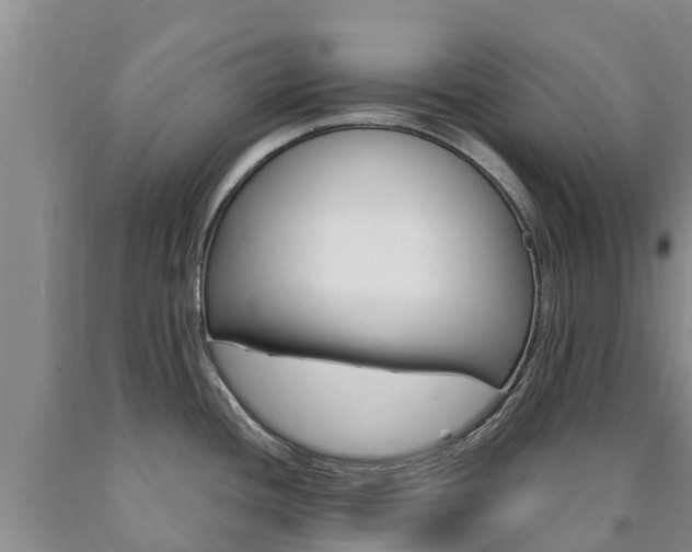 X0000090871436200707270945