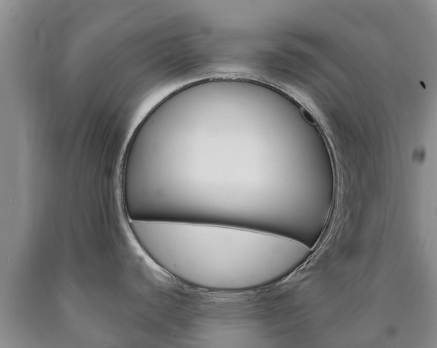 X0000090871440200707270945