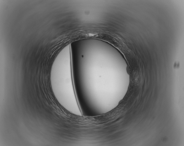 X0000090871442200707270944