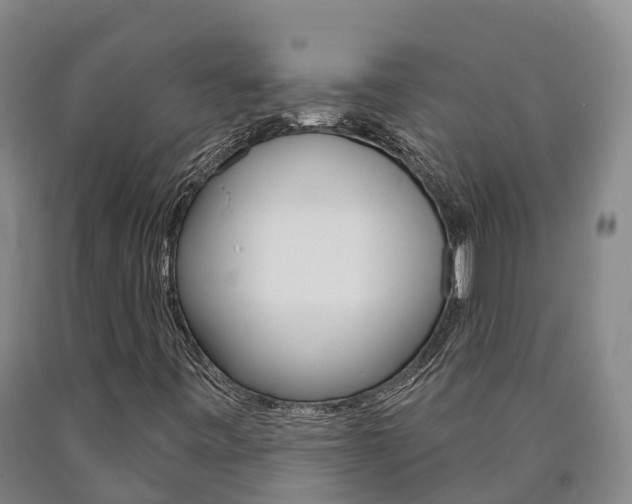 X0000090871443200707270944
