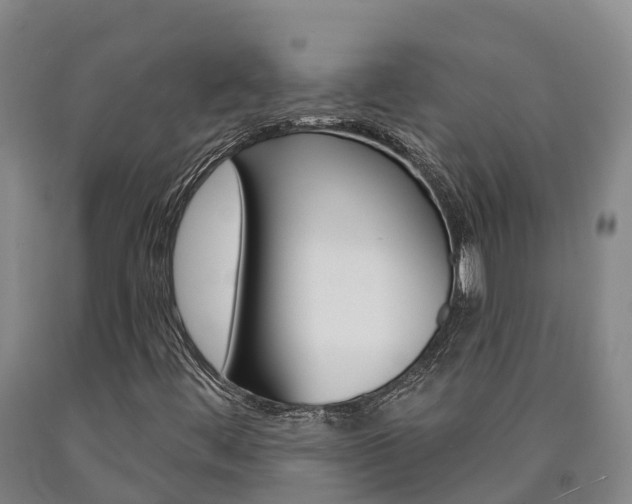 X0000090871444200707270944