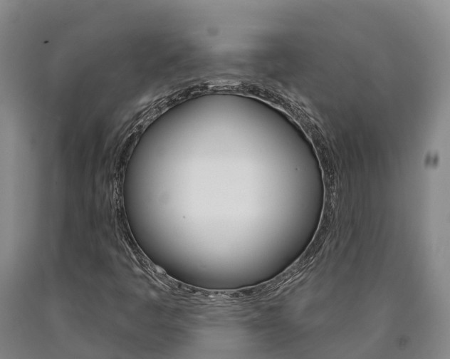 X0000090871445200707270944