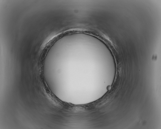 X0000090871448200707270944