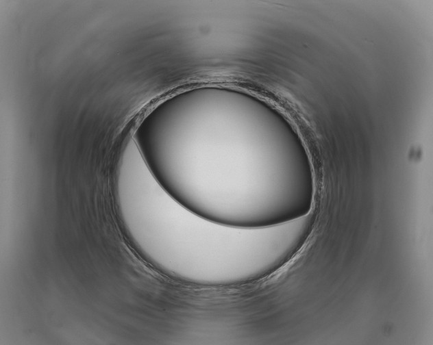 X0000090871449200707270944
