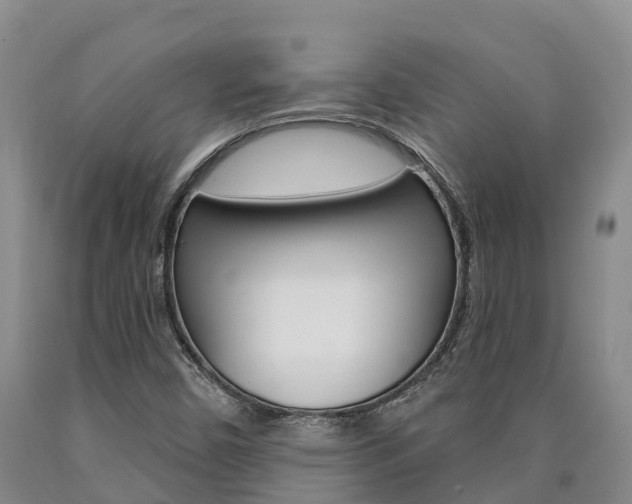 X0000090871450200707270944