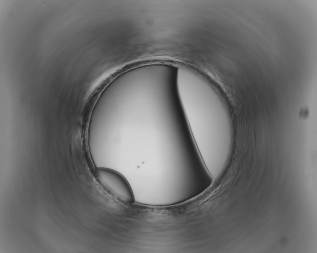 X0000090871452200707270944