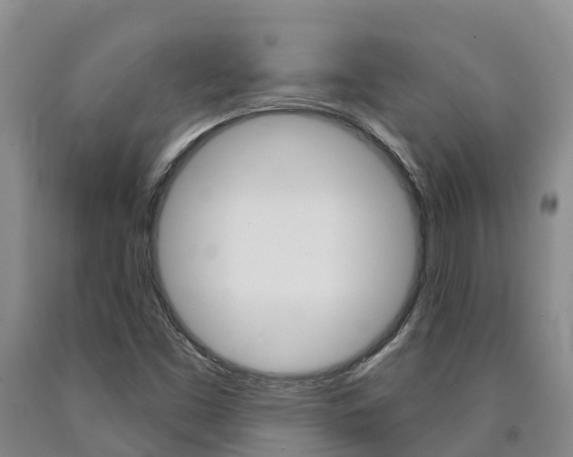 X0000090871453200707270944