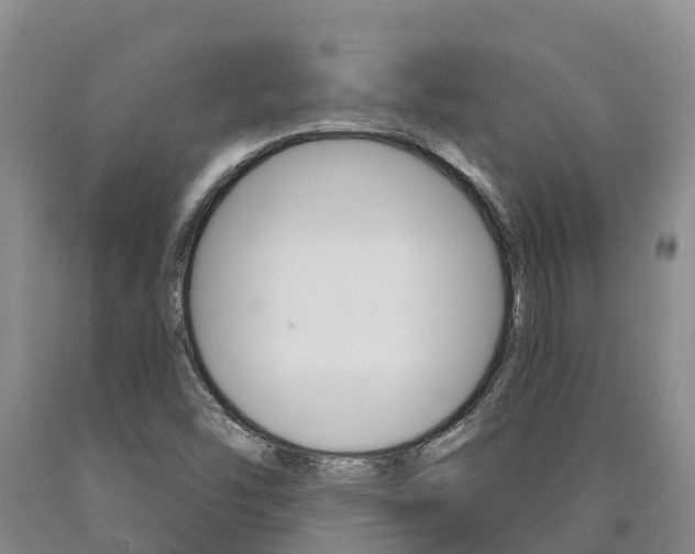 X0000090871454200707270944