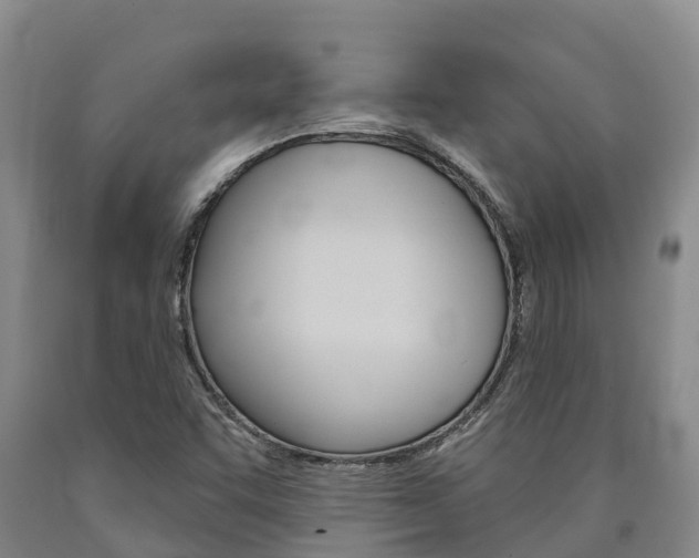 X0000090871455200707270944