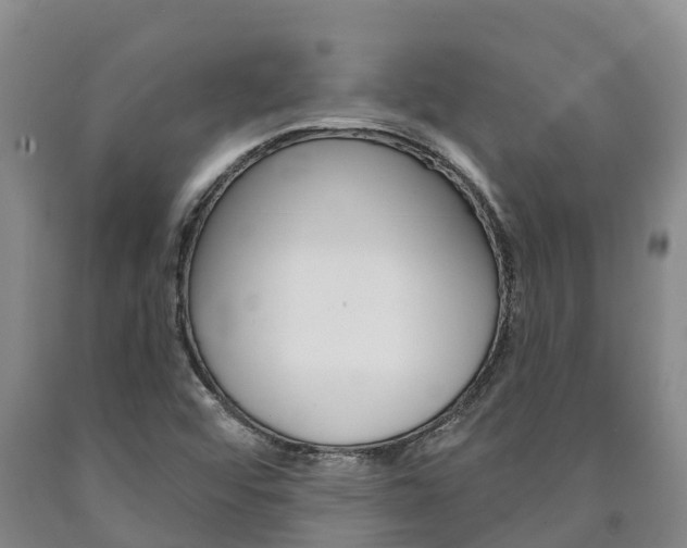 X0000090871456200707270944