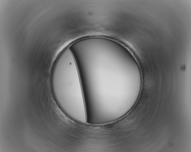 X0000090871460200707270944