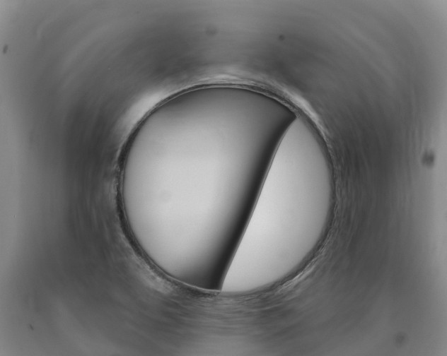 X0000090871463200707270944