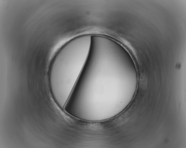 X0000090871464200707270944