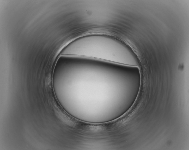 X0000090871465200707270944