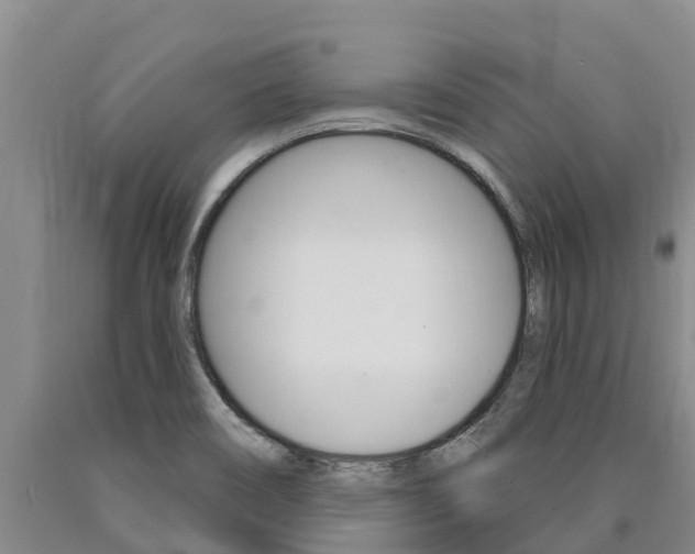 X0000090871466200707270944