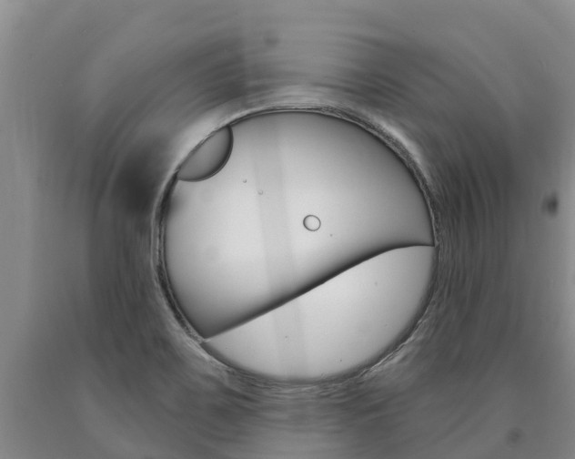 X0000090871467200707270944