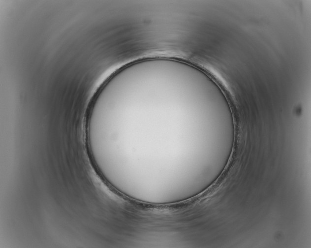 X0000090871468200707270944