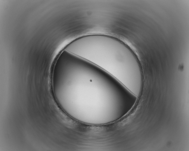 X0000090871469200707270944