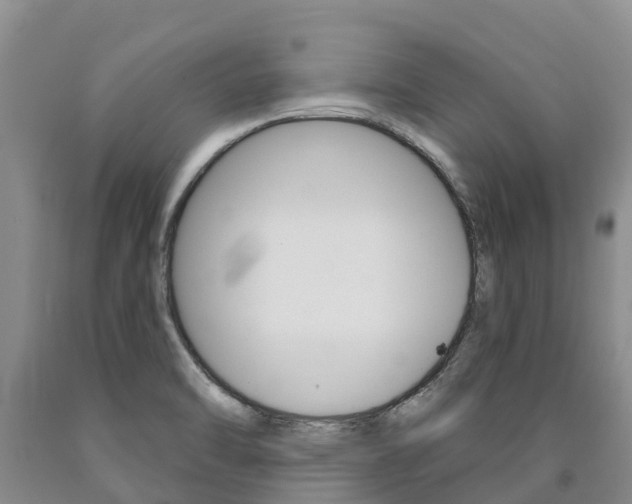 X0000090871470200707270944