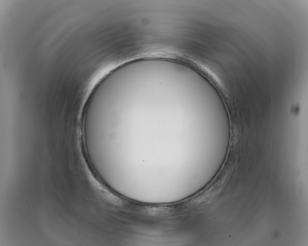 X0000090871471200707270944