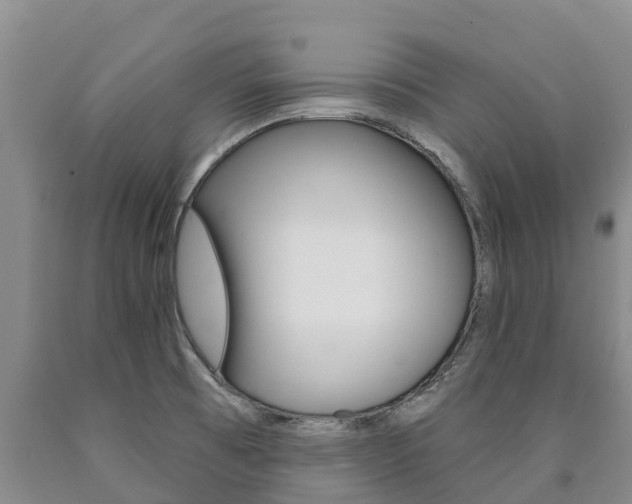 X0000090871473200707270944