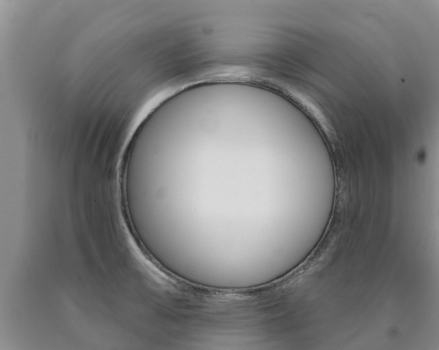 X0000090871475200707270944