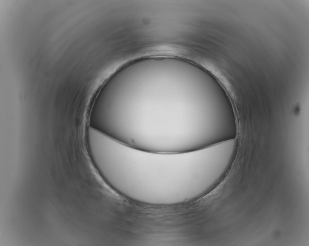 X0000090871477200707270944
