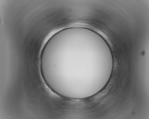 X0000090871478200707270944