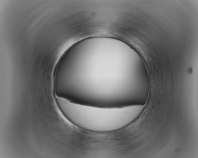 X0000090871479200707270944
