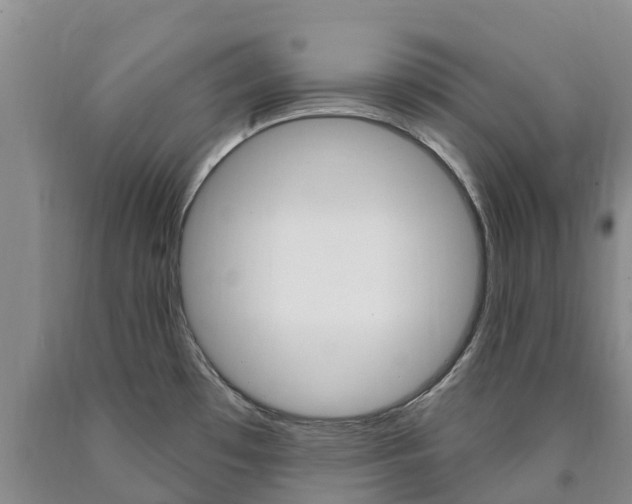 X0000090871481200707270944