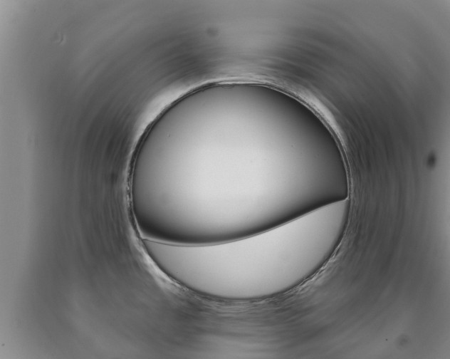 X0000090871485200707270944